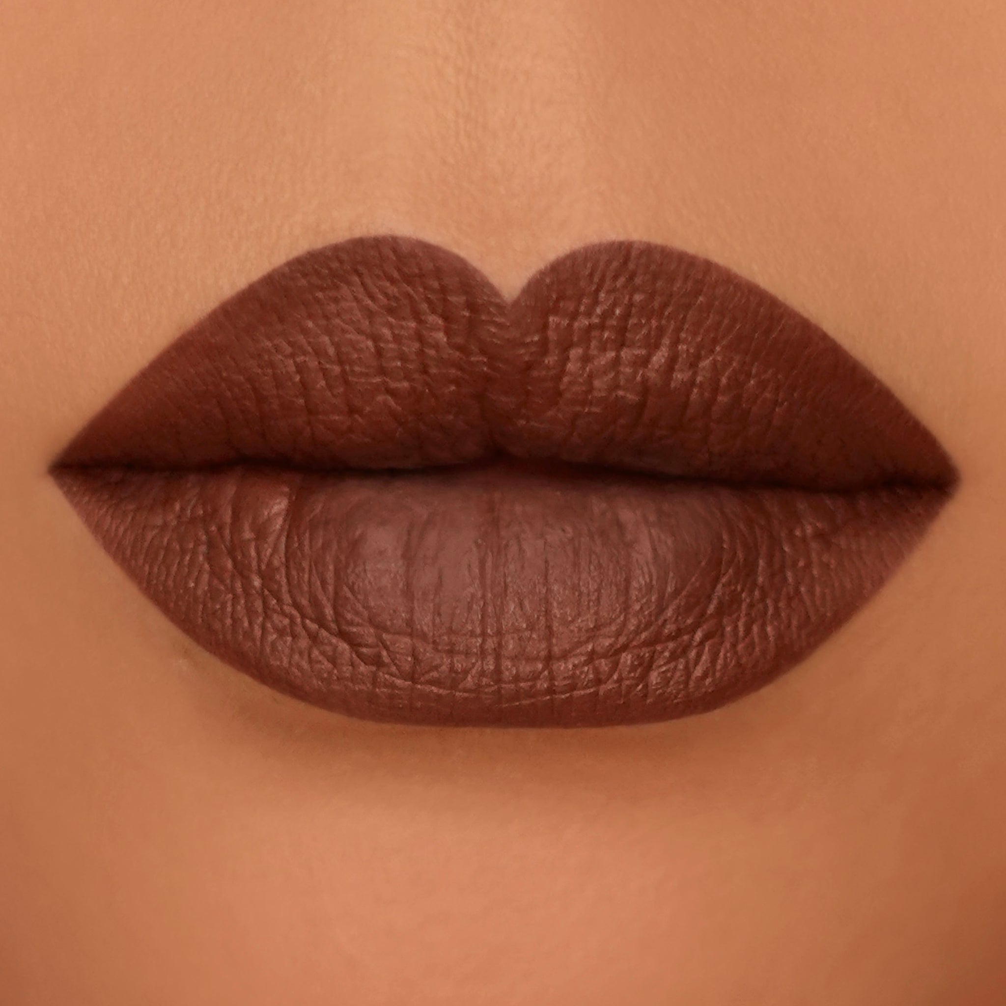 Smooch Matte Liquid Lipstick in "West Side"