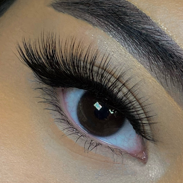 “Lucia” Lashes